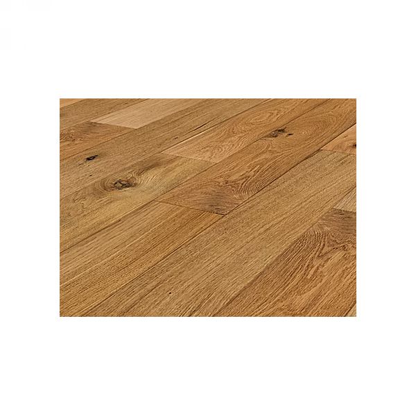 SHOCK Melamine brisač (pakiranje 10 kom)